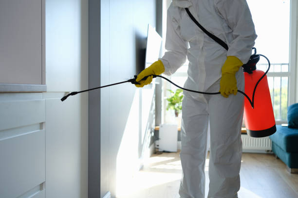 Best Insurance-Related Mold Remediation in Vinita, OK